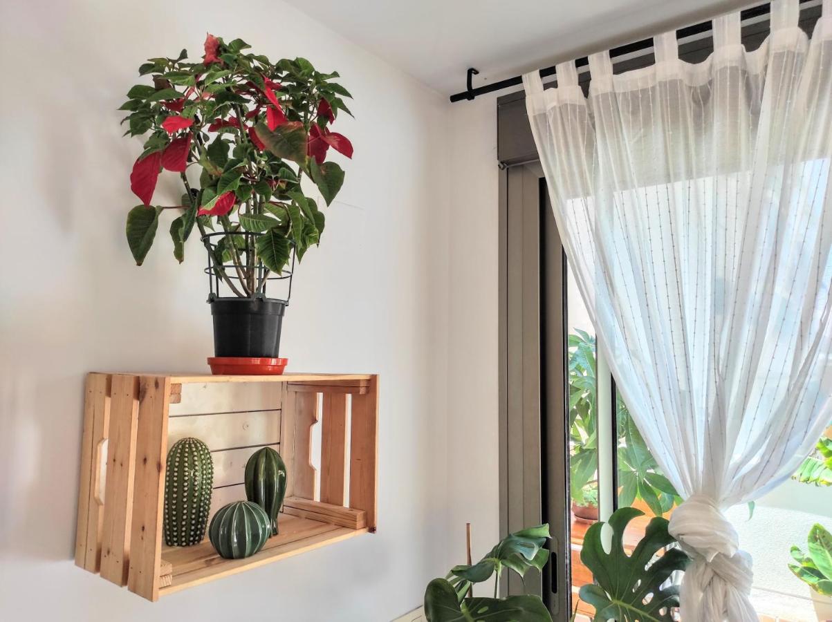 Manuela Nogales Apartments! Málaga Eksteriør bilde